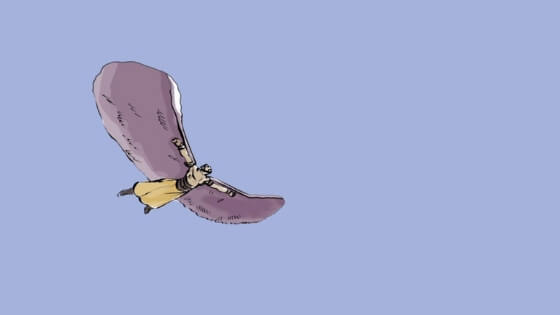 Hezarfen Ahmet Çelebi